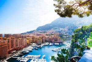 Halvdagsutflykt från Nice till Monaco MC med guidad promenad