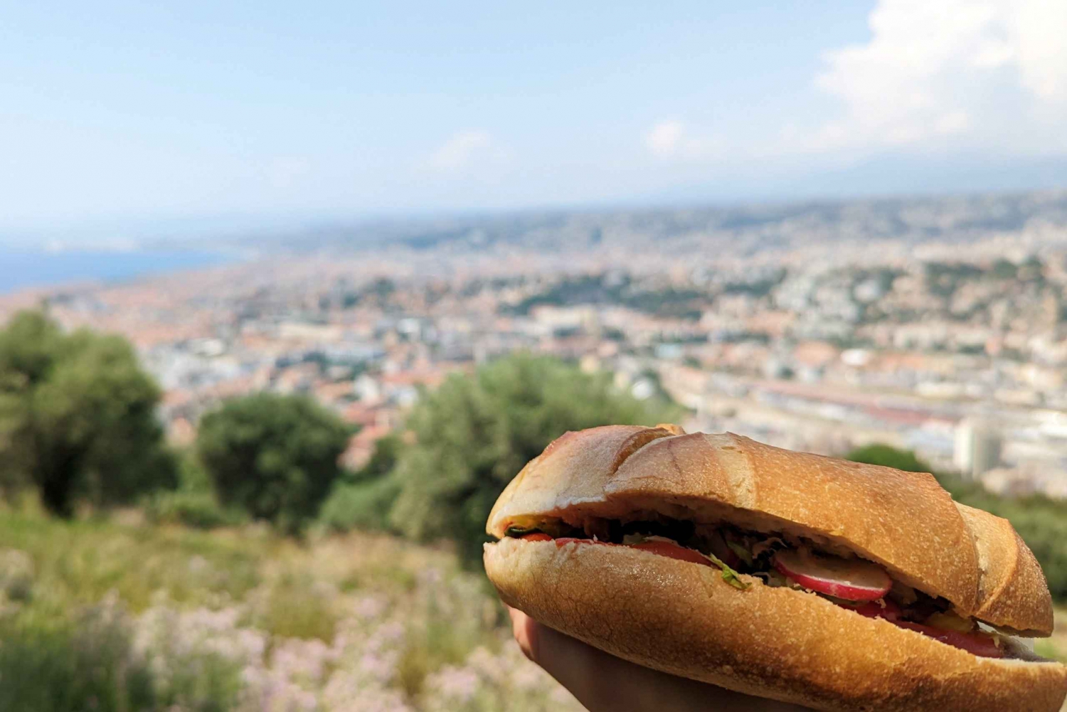 Nice : Hike and panoramical lunch