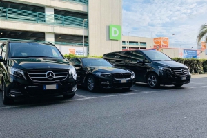 Nice Intl Airport (NCE): Privater Transfer zu den Hotels in Cannes