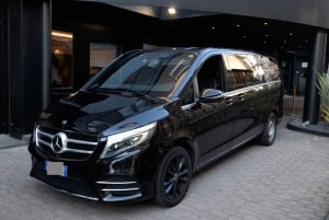 Nice Intl Airport (NCE): Private Transfer to Monaco hotels