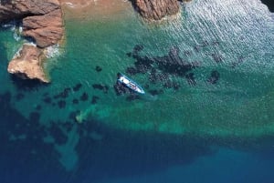 Nizza: Tour in barca delle Isole Lerins con snorkeling