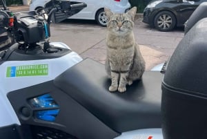 NICE BY ELECTRIC QUAD:panoramic tour from Nice