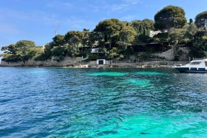 Nice: Privat båttur med snorkling och vackra vyer