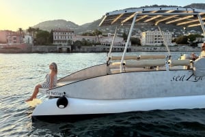 Nice: Private Sunset Tour on Solar Powered Boat