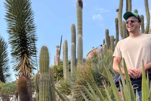 Nizza: Aja Rivieralla Defenderilla ja tutustu Ezeen