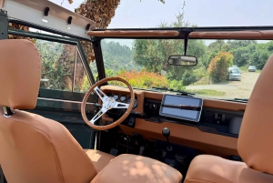 Nizza: Aja Rivieralla Defenderilla ja tutustu Ezeen