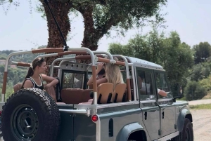 Nizza: Aja Rivieralla Defenderilla ja tutustu Ezeen