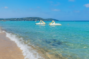 Nice : visite touristique d'une journée à Saint-Tropez et Port Grimaud