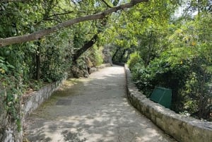 Nice: Passeio turístico a pé com guia de turismo certificado