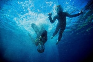 Niza: Excursión de un día en lancha rápida con snorkel en la bahía de Villefranche
