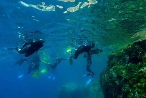 Nice : Excursion en hors-bord avec plongée en apnée dans la baie de Villefranche