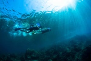 Nice: Viagem de 1 dia em lancha rápida com mergulho com snorkel na Baía de Villefranche