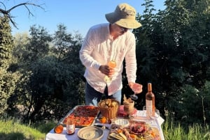 ニース：サンセット＆ワインテイスティング in ディフェンダー パノラマビュー付き
