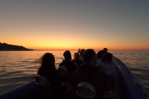 Nice: Rondvaart bij zonsondergang met wijn en lokale hapjes