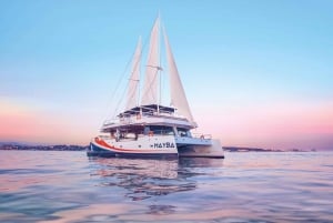 Nice: Morning Catamaran Discovery Tour - Guided Tour of the Coastline