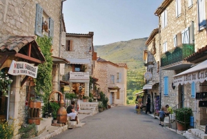 Nizza: tour dei villaggi della Provenza
