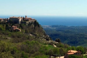 Nice: rundtur bland byarna i Provence
