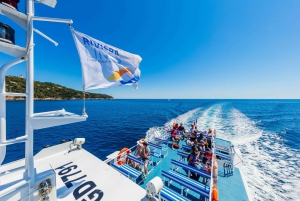 From Nice: Round-Trip Transportation to Saint Tropez by Boat