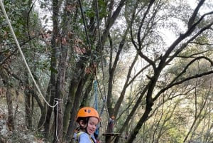 Nice : Accrobranche découverte pour enfants dans un site naturel naturel