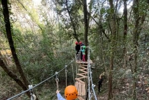Nice : Accrobranche découverte pour enfants dans un site naturel naturel