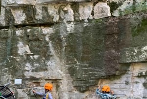 Nice : Accrobranche découverte pour enfants dans un site naturel naturel