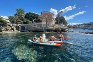 Niza Villefranche-sur-Mer Excursión en E-Bike y Paddleboard