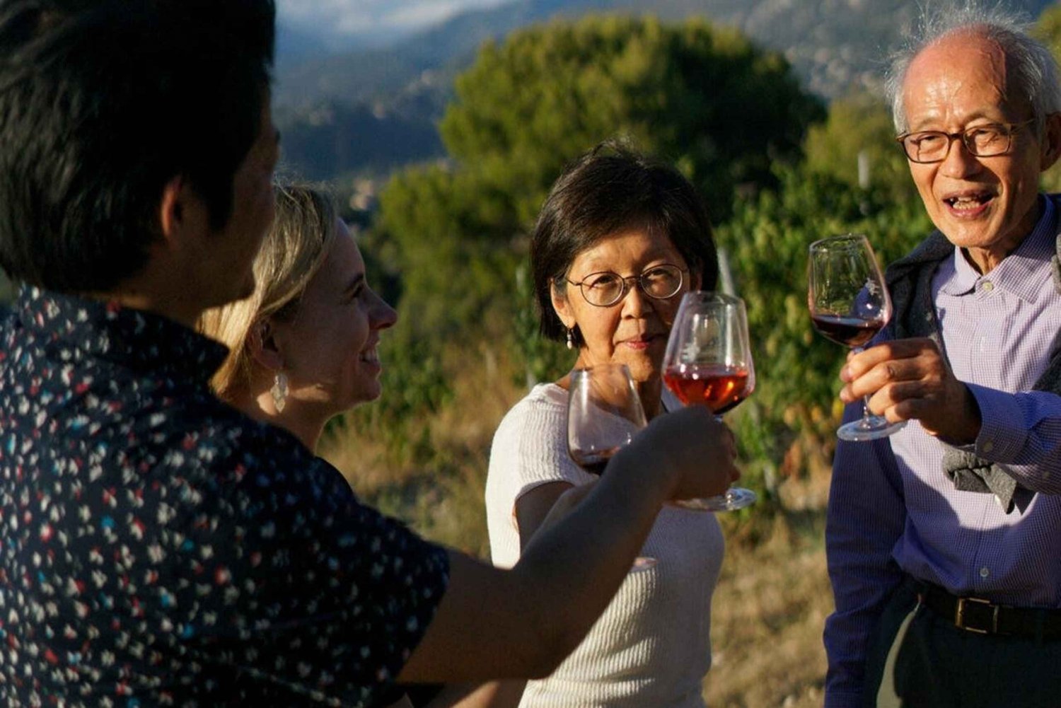 Nice : Visite des vignobles avec dégustation de vin