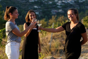 Nice : Visite des vignobles avec dégustation de vin