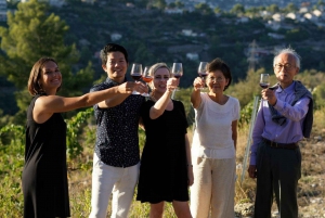 Niza Visita a un viñedo con cata de vinos