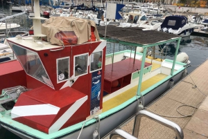 Nicea : Wycieczka morska VIP z nurkowaniem i nurkowaniem z akwalungiem