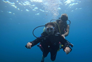 Nicea : Wycieczka morska VIP z nurkowaniem i nurkowaniem z akwalungiem