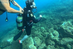 Nicea : Wycieczka morska VIP z nurkowaniem i nurkowaniem z akwalungiem