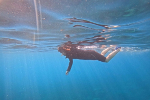 Nicea : Wycieczka morska VIP z nurkowaniem i nurkowaniem z akwalungiem