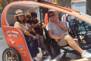 Nizza : Geführte Besichtigung mit dem Vélotaxi mit elektrischer Unterstützung.