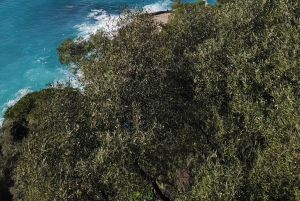 Hienoa: Nizza: Kävelykierros Port Lympia & Antiques District -alueella