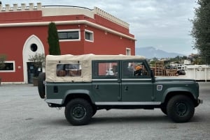 Nizza: degustazione di vini nell'entroterra a bordo di un Defender