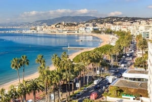 Puerto de Cannes : Tour privado personalizado