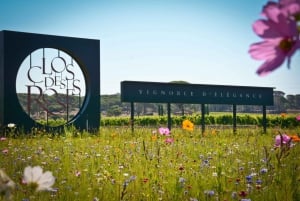 Nice: Clos des Roses wine tasting and lunch