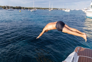Privat utflykt för att upptäcka Cannes och Lerins öar med båt