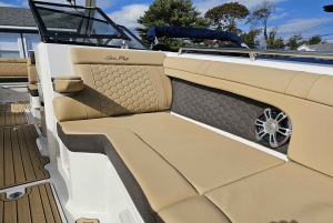 Privat utflykt för att upptäcka Cannes och Lerins öar med båt