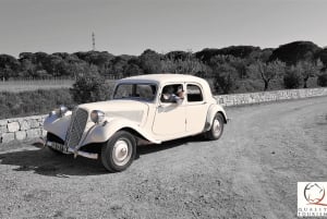 Private Half-Day Tour of the French Riviera in a Vintage Car