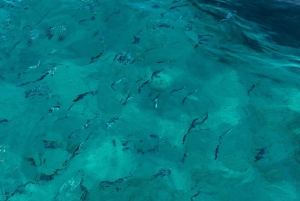 Yksityinen purjehdusretki ja provencelainen piknik