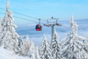 Privat skisafari dag med transport