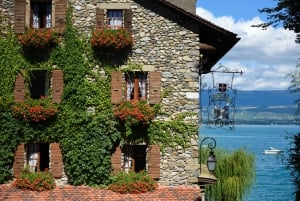 Private Tour from Geneva to the French Riviera