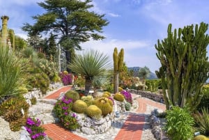 Privat tur: Nice City, Monaco, Eze, Villefranche och mer