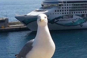 Private Tours - Shore Excursions French Riviera