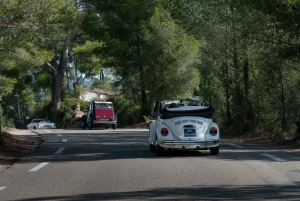Private Wine tasting tour by vintage car in Provence