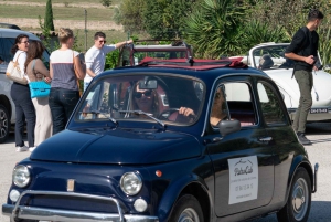 Private Wine tasting tour by vintage car in Provence