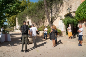 Private Wine tasting tour by vintage car in Provence
