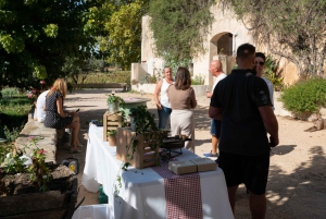 Private Wine tasting tour by vintage car in Provence